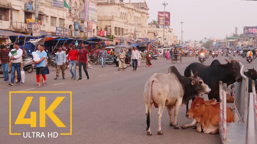 Everyday Life of Puri - 4K Travel Film - Incredible India - Cities of the World
